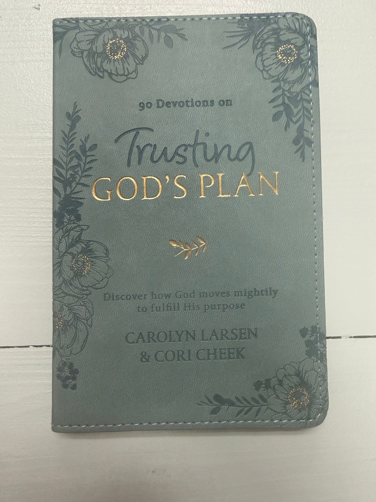 Trusting Gods Plan Devotional