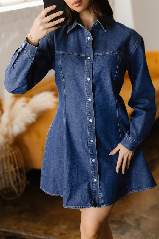 Ashleigh Blue Denim Shirt Collar Long Sleeve Flared Mini Dress